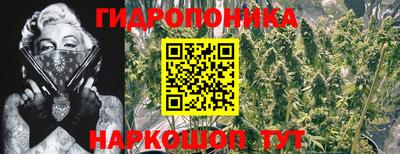 герыч Донецк